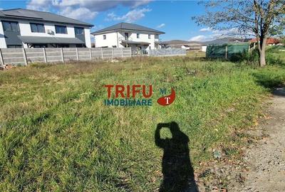 Teren Intravilan zona Orizont - 500mp - 7