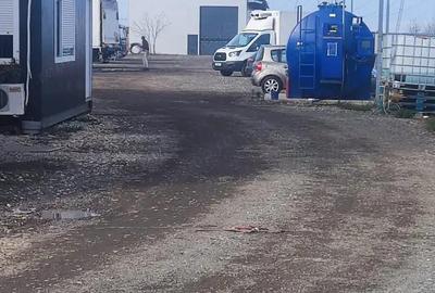 Hala 250 mp noua Ciorogarla ( Autostrada A 1 ) - 3