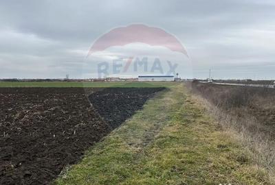 Teren de 80500 mp, în Ciumeghiu - 4