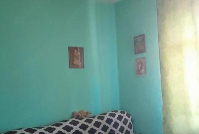 Casă cu 3 camere cu Teren 1600 Mp în Traian - 2