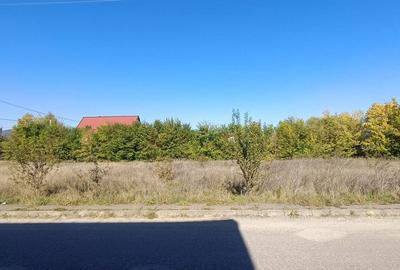 Teren intre case in cea mai buna zona din Harman Teren intre case in cea mai buna zona din Harman - 4