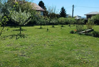 Casă cu 4 camere în Valea Lupului - 3