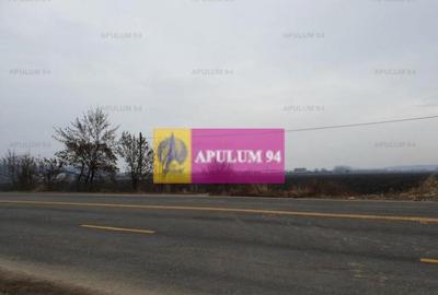 Teren ideal showroom, depozit, logistica, magazin, hala, ... - 3