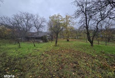 Spațiu comercial, în Tomești - 3