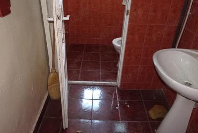 Inchiriez proprietate in Deva, zona ultracentrala (Ion Creanga), doua usi de acces, 140 mp - 10