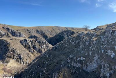 Teren de 449.03 mp, în Tureni - 4