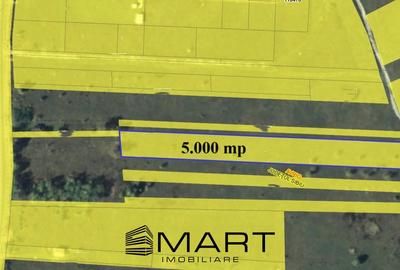 Teren intravilan 5000mp Valea Avrigului - 6