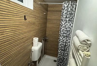 Casă în Muntele Băișorii