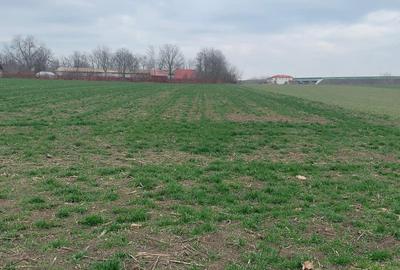 Vanzare Teren extravilan Afumati Autostrada A0 - 1