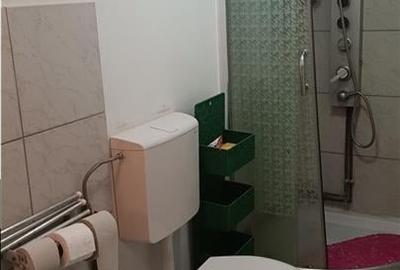 Lunca Cetatui cartier Astoria TEREN 491mp CASA 40mp toate utilitatile - 7