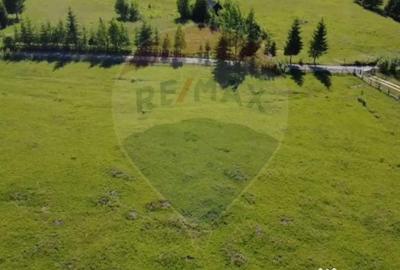 Teren de 9685 mp, în Neagra - 7