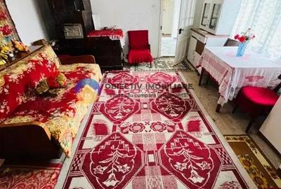 Casă cu 6 camere cu Teren 4616 Mp în Răucești - 7