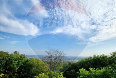 Teren de 1046 mp, în Valea Borcutului