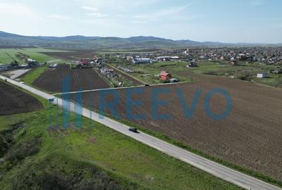 Teren de vanzare, Com. Nicolae Balcescu, Jud. Bacau - 12