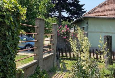 Casă cu 8 camere cu Canalizare în Dumbrăvița - 4