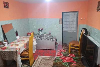 Casă cu Teren 3000 Mp în Căscioarele - 1