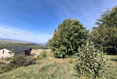 Comision 0. Teren cu autorizatie de construire in Salicea Comision 0. Teren cu autorizatie de construire in Salicea - 5