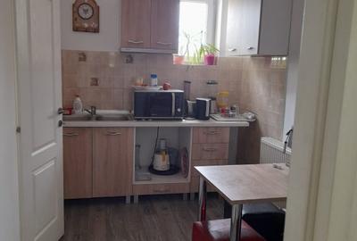 Spațiu generos Timișoara Spațiu generos Timișoara - 9