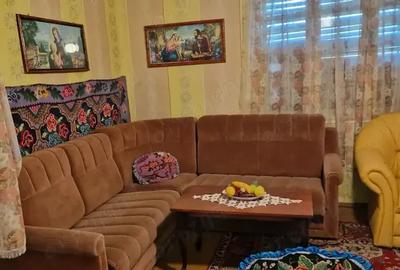 Casa si teren ideal pentru legumicultura - 8