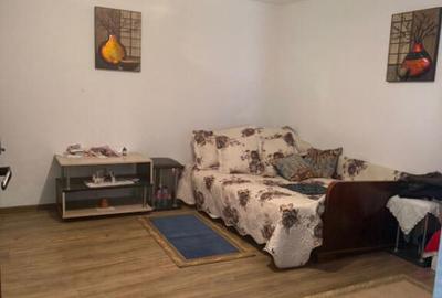 Casa 133 mp utili, 3300 mp teren, Ciutura - 6