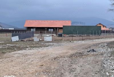 Teren de 1450 mp, în Tărlungeni - 5