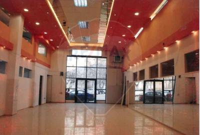 Spa?iu comercial de inchiriat Teiul Doamnei-Colentina - 6