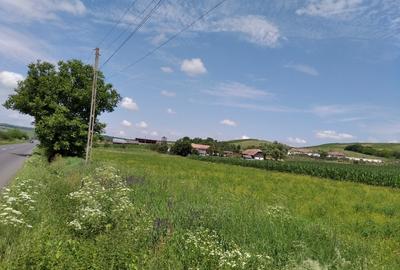 Teren Construcții intravilan de 6600 mp, în Mărășești - 3