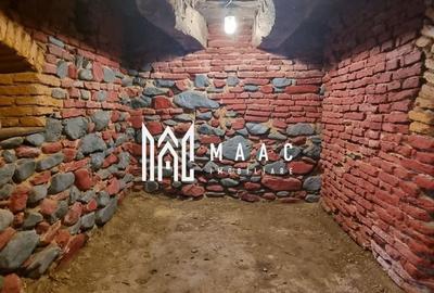 Casă 5 camere I 1600mp teren I Acces auto I Amnaș - 17