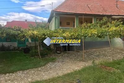 Casa in Cricau cu 3 camere de vanzare teren de 1300 mp - 17