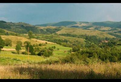 Spațiu comercial, în Nădăștia - 3