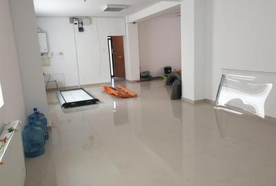 Casă individuală cu 8 camere cu Teren 400 Mp în Scriitorilor - 18