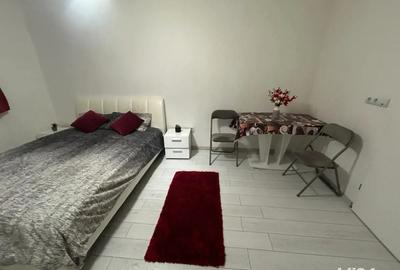 Garsoniera de inchiriat - 2