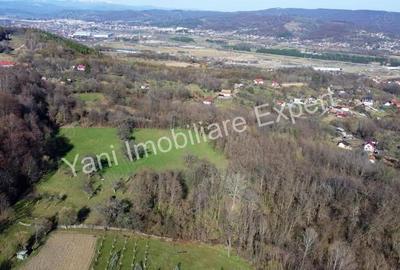 Teren 13.643 mp intravilan de vanzare in Curtea de Arge?. - 11