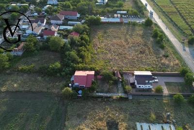 Teren intravilan -2679 mp-Branesti / Islaz - 7