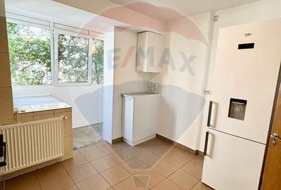 Apartament de inchiriat in zona Arcul de Triumf, Kiseleff, Averescu - 9