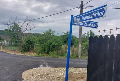 Teren în Erghevița - 2