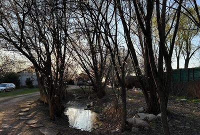 Casă individuală cu 5 camere cu Canalizare în Giulești - 2