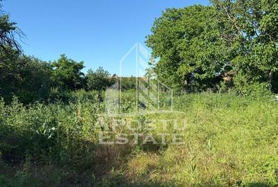 Casă cu 4 camere cu Teren 1522 Mp în Traian Vuia - 15