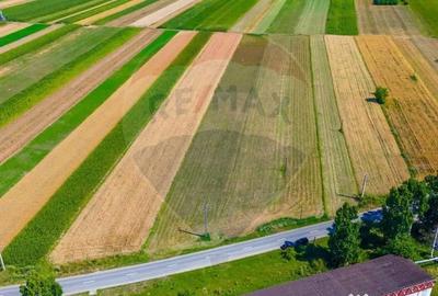 Teren de 7000 mp, în Teliu - 3