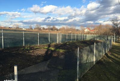 Casă cu 6 camere cu Teren 3417 Mp în Drăgoiești - 5