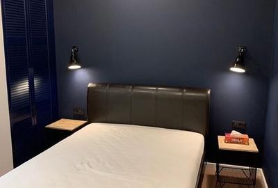 2 CAMERE| ARON COTRUS| HERASTRAU - 3