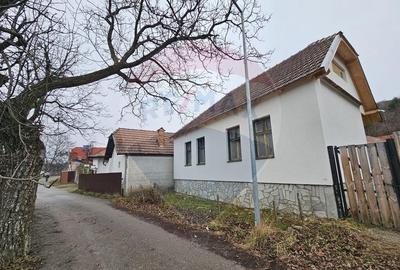 CASA 3 CAMERE SINCA NOUA / 5650 mp teren - 17