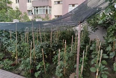 Casă cu Teren 450 Mp în Central - 4