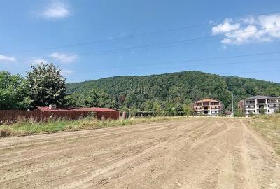 Teren Intravilan Bunloc - 5