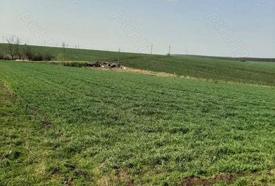 Refugiu la ?ara, aproape de Bucure?ti casa tradi?ionala cu teren 3.113 mp - 3