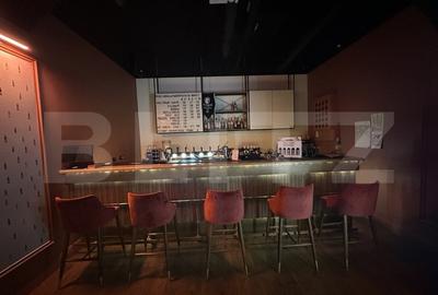 Spatiu Premium - Club/Pub la Cheie, Ultracentral - 3