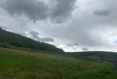 Spațiu comercial, în Herghelia - 5