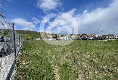 Teren Construcții intravilan de 2300 mp, în Cristian - 2