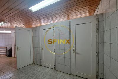 Spațiu industrial, de 240 mp, în Theodor Pallady - 5