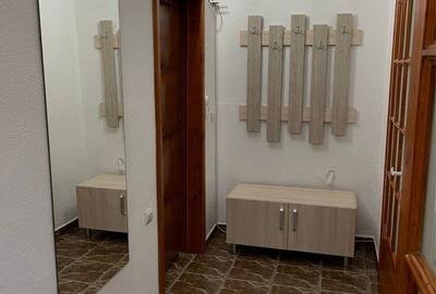 Apartament cu 2 camere decomandat în Turnișor - 16